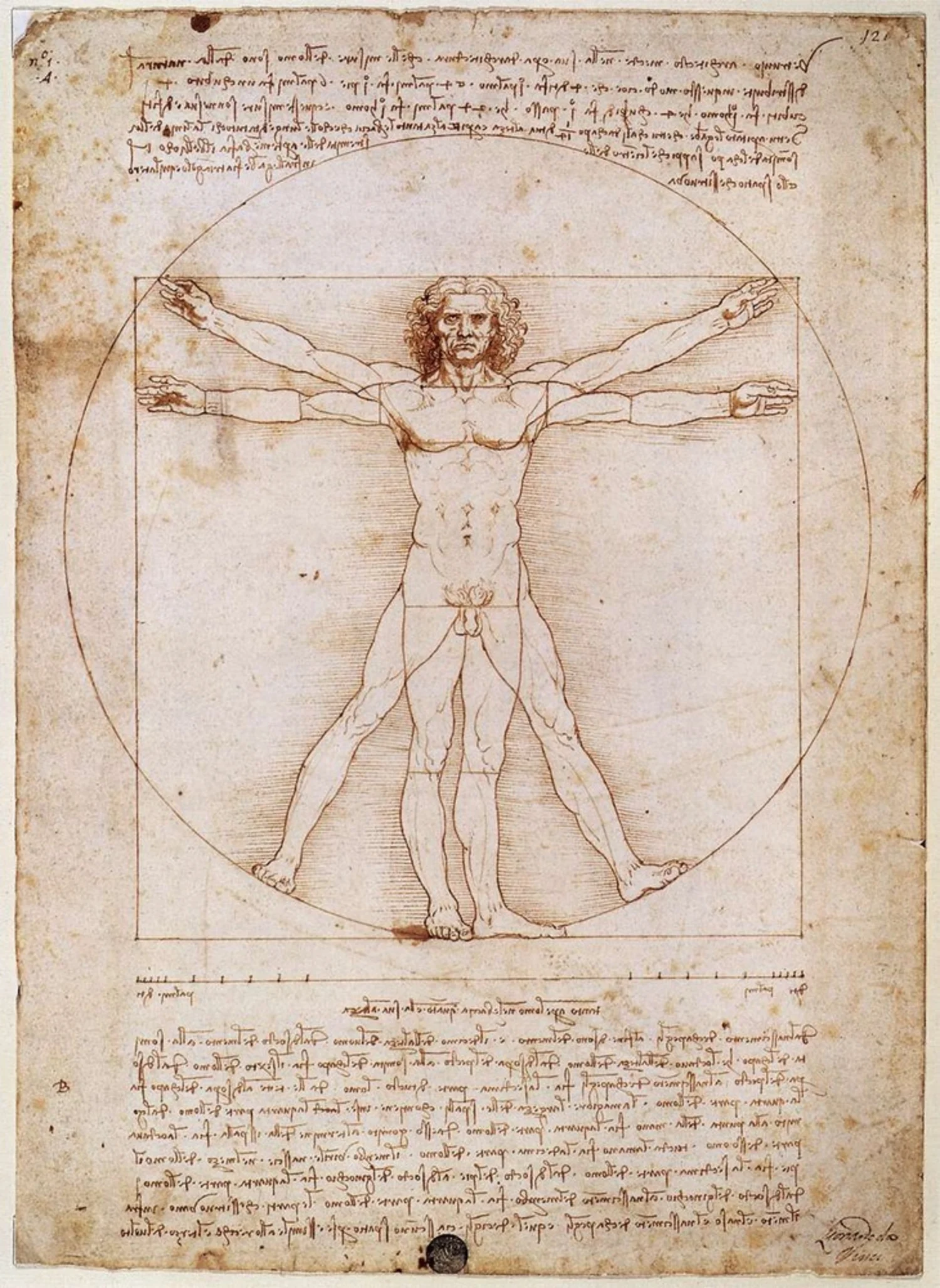 Leonardo da Vinci, Vitruvian Man — a male figure inscribed within a circle and a square